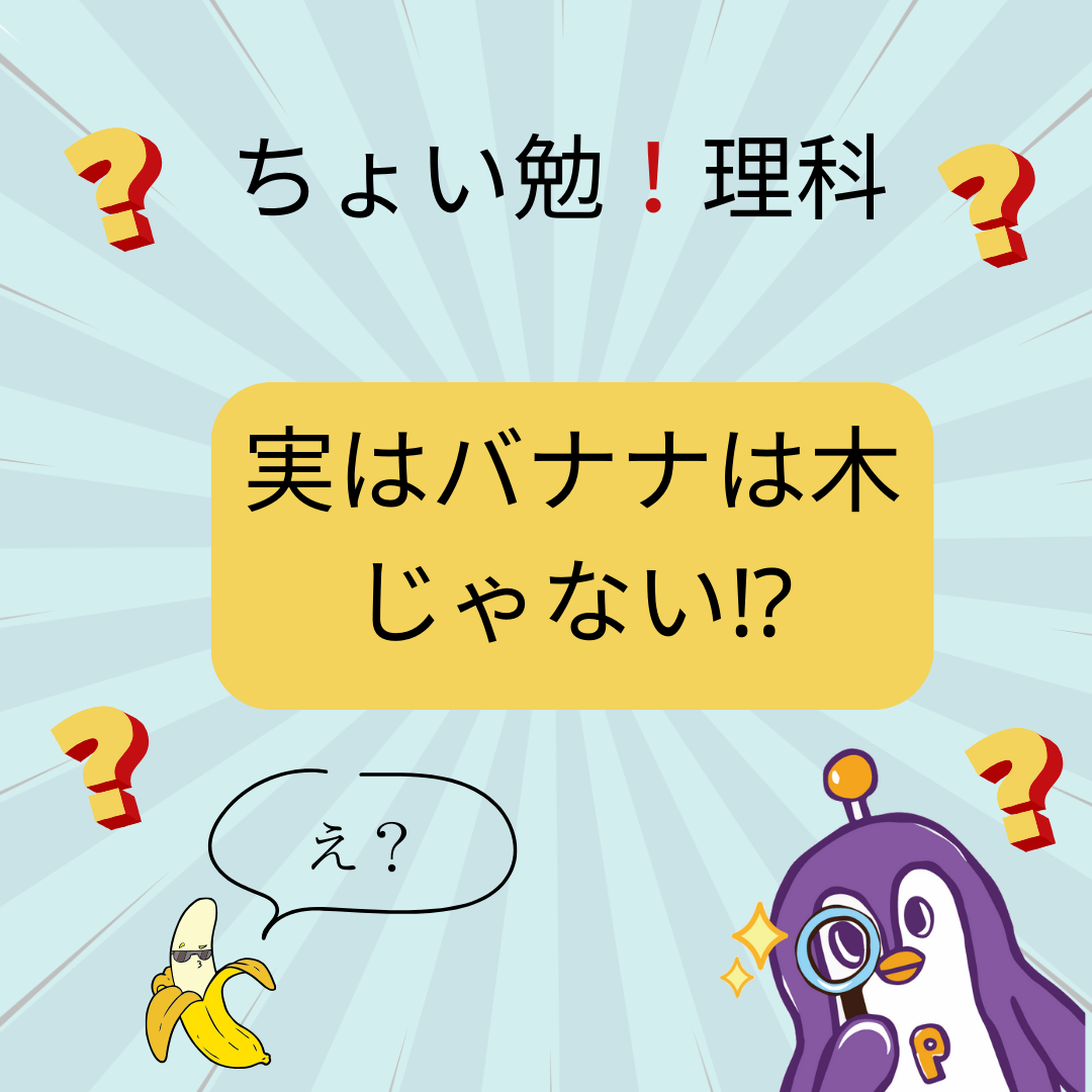 雑学